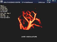 Diagnostic Medical Sonography Images