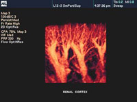 Diagnostic Medical Sonography Images