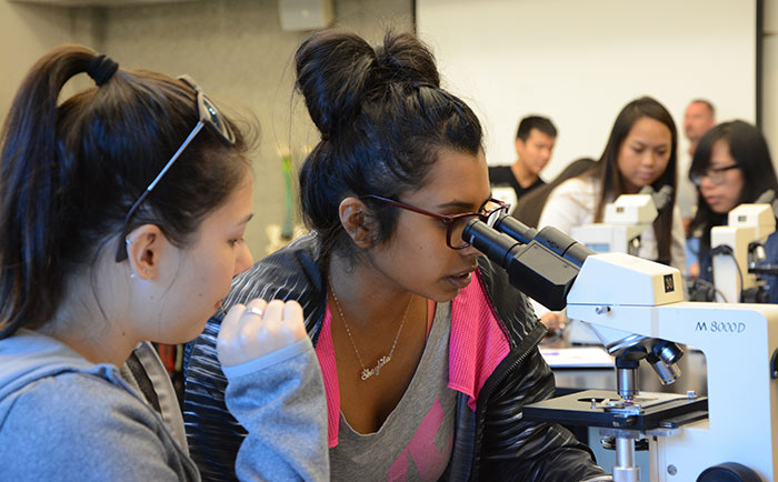 Students using microscopes in lab