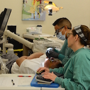 male and female dental students