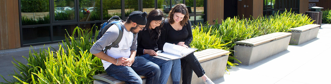 Students looking at books