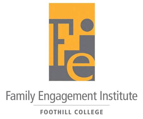 FEI Logo