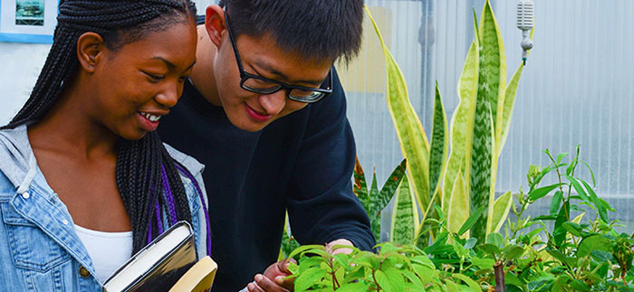 Two students looking at green plant