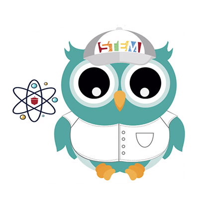 Owl STEM