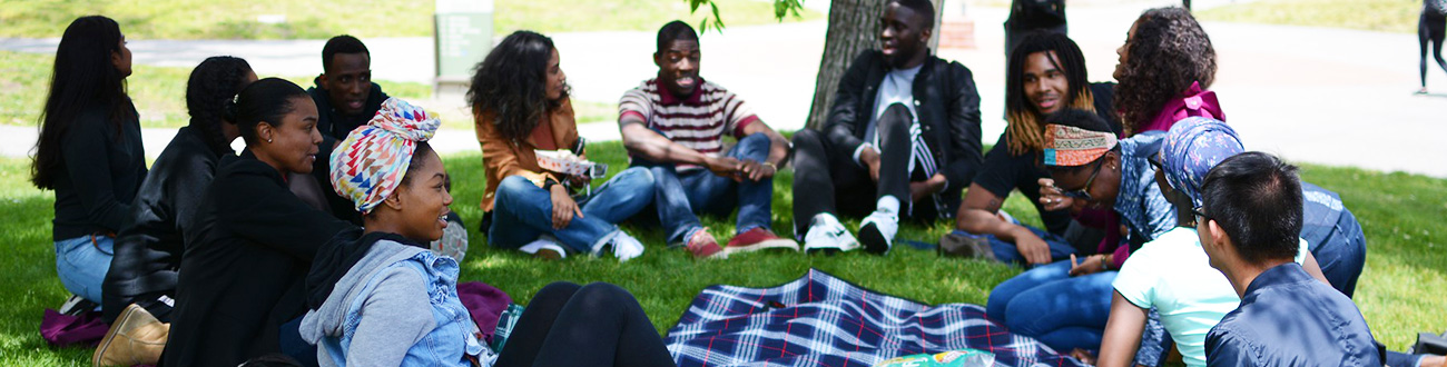 Group of students talking on lawn