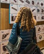 Student looking at periodic table wall