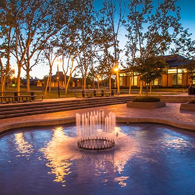 Library Quad fountain at night