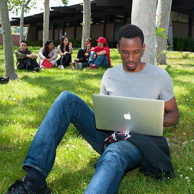 A male student working on laptop under tree